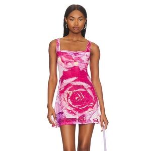 Miaou Ginger mesh sheer Dress in Dewy Rose